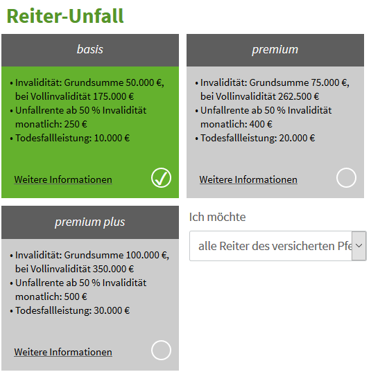 reiter_unfall.PNG